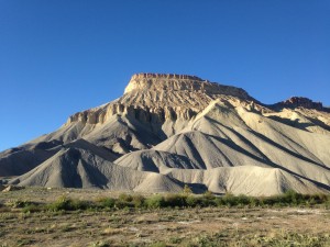 IMG_2550