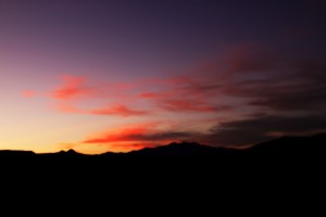 IMG_6491