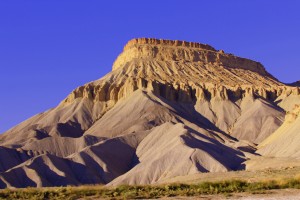 IMG_6598