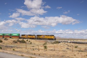 IMG_7860