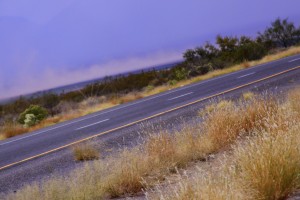 IMG_7991
