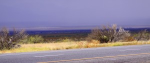 IMG_8009
