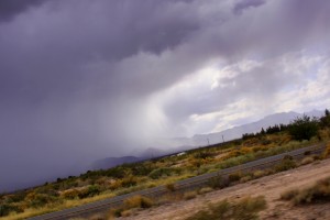 IMG_8014