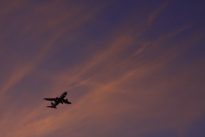 IMG_8058