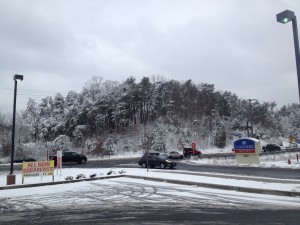 snow trees wide